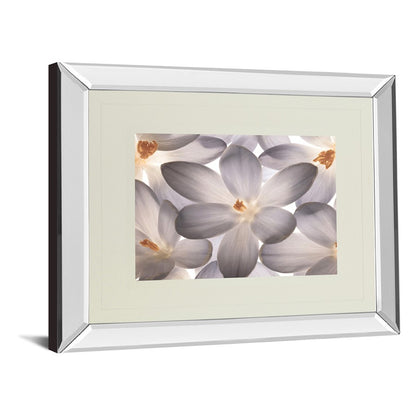 Classy Living Petal Whisper 40x34in Wall Art | Transitional Mirrored Frame with Double Matting | Living Room & Bedroom Botanical Decor | Model DM5527MF