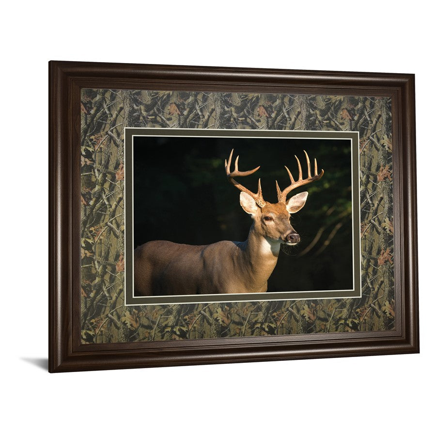 Classy Living White Tall Majesty Wall Art 40x34in | Contemporary Cinnamon Mocha MDF Frame | Living Room & Office Decor | 40 x 34 x 1 in | Model DM5556