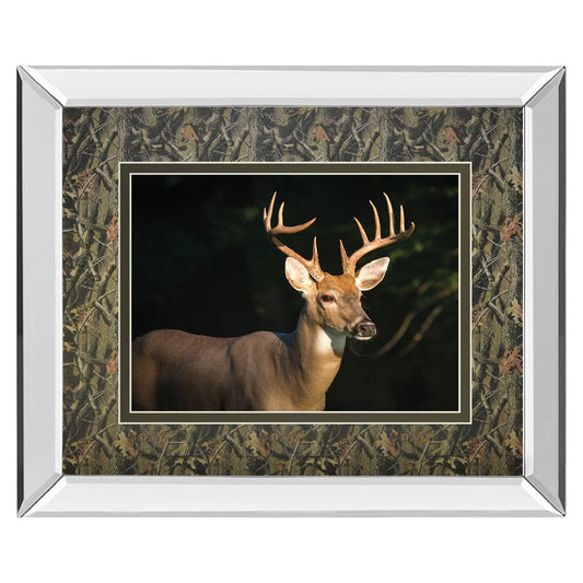 Classy Living White Tail Majesty 40x34in Wall Art | Contemporary Mirrored Frame | Living Room & Office Wildlife Decor | 40 x 34 x 3 in | Model DM5556MF