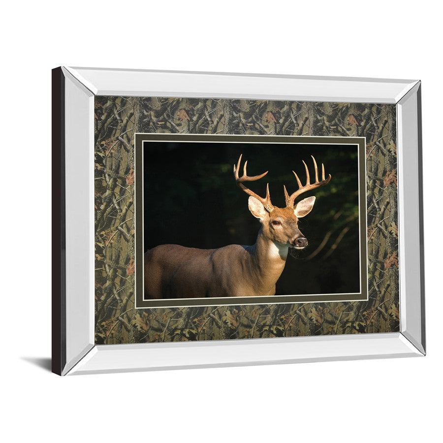 Classy Living White Tail Majesty 40x34in Wall Art | Contemporary Mirrored Frame | Living Room & Office Wildlife Decor | 40 x 34 x 3 in | Model DM5556MF