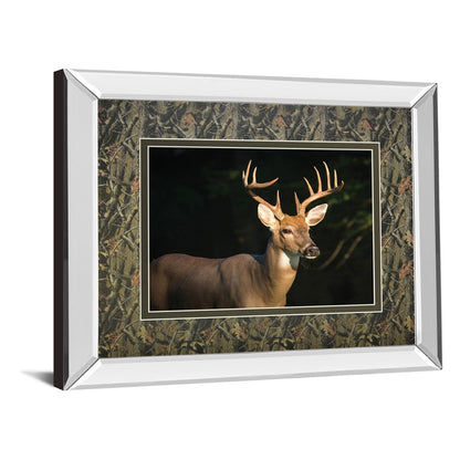 Classy Living White Tail Majesty 40x34in Wall Art | Contemporary Mirrored Frame | Living Room & Office Wildlife Decor | 40 x 34 x 3 in | Model DM5556MF