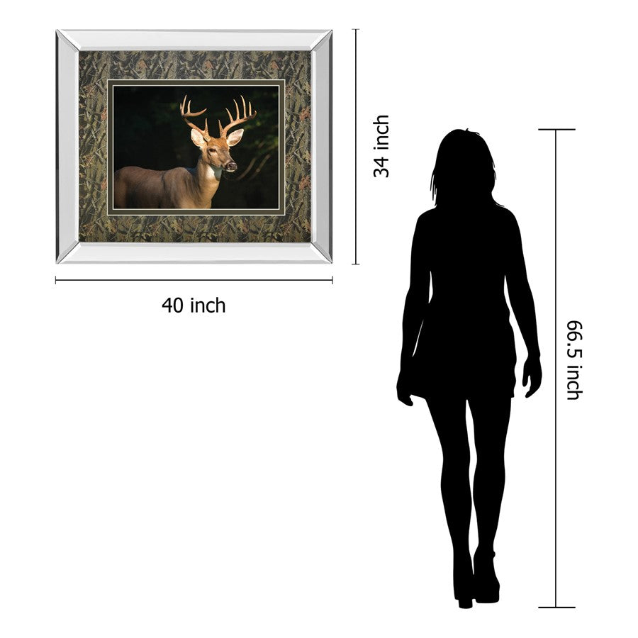 Classy Living White Tail Majesty 40x34in Wall Art | Contemporary Mirrored Frame | Living Room & Office Wildlife Decor | 40 x 34 x 3 in | Model DM5556MF