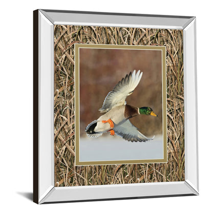 Classy Living Flying Mallard Wall Art 34x40in | Contemporary Mirrored Frame | Living Room & Office Decor | 34 x 40 x 3 in | Model DM5557MF