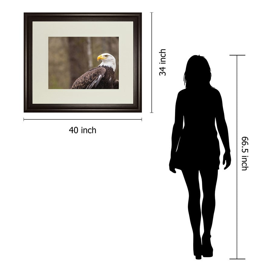 Classy Living Regal Eagle 40x34in Wall Art | Contemporary Dark Chocolate MDF Frame | Living Room & Office Decor | 1 x 40 x 34 in | Model DM5567
