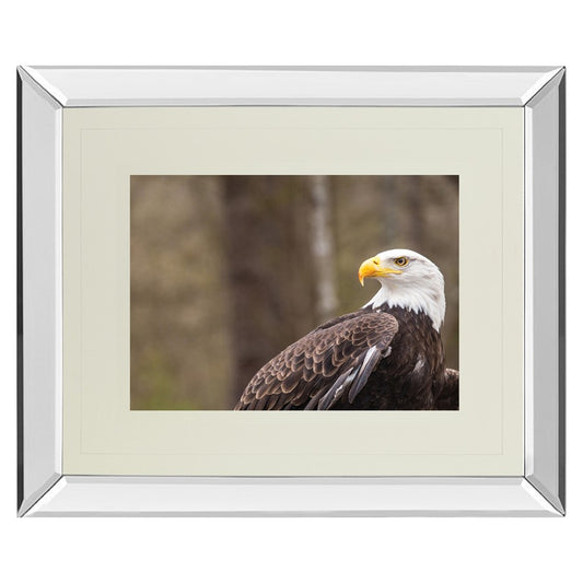 Classy Living Regal Eagle 40x34in Mirrored Wall Art | Contemporary Multicolor Framed Print | Living Room & Office Decor | 40 x 34 x 3 in | Model DM5567MF