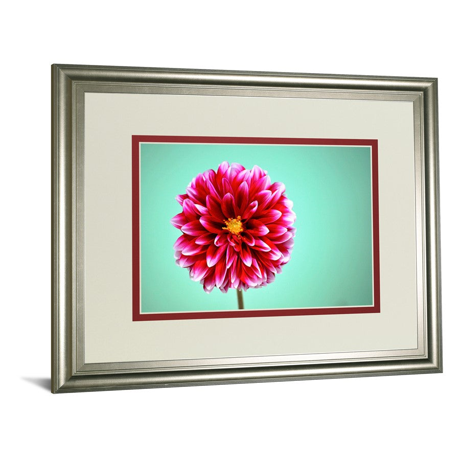Classy Living Zenia Bloom 40x34in Wall Art | Contemporary Silver Serenity MDF Frame with Paper Print | Living Room & Bedroom Decor | 1 x 40 | Model DM5585