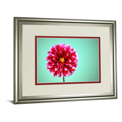 Classy Living Zenia Bloom 40x34in Wall Art | Contemporary Silver Serenity MDF Frame with Paper Print | Living Room & Bedroom Decor | 1 x 40 | Model DM5585