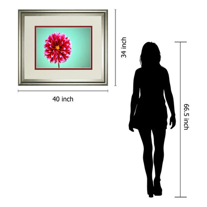 Classy Living Zenia Bloom 40x34in Wall Art | Contemporary Silver Serenity MDF Frame with Paper Print | Living Room & Bedroom Decor | 1 x 40 | Model DM5585