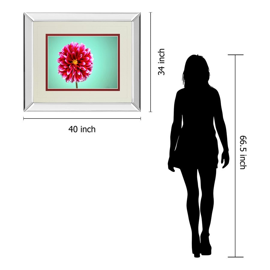 Classy Living Zenia Bloom Wall Art 40x34in | Contemporary Botanical Pink Flower on Teal | Living Room, Bedroom & Office Decor | 40 x 34 x | Model DM5585MF