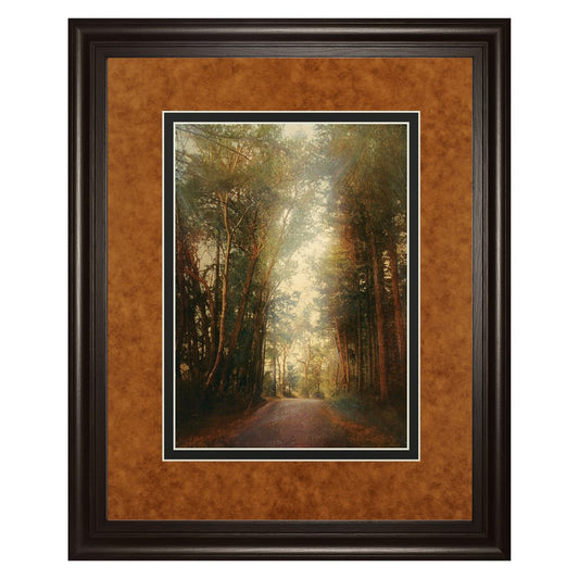 Classy Living Road of Mysteries II 34x40in Wall Art | Transitional Dark Chocolate MDF Frame and Paper Art | Living Room & Office Focal | Model DM5602