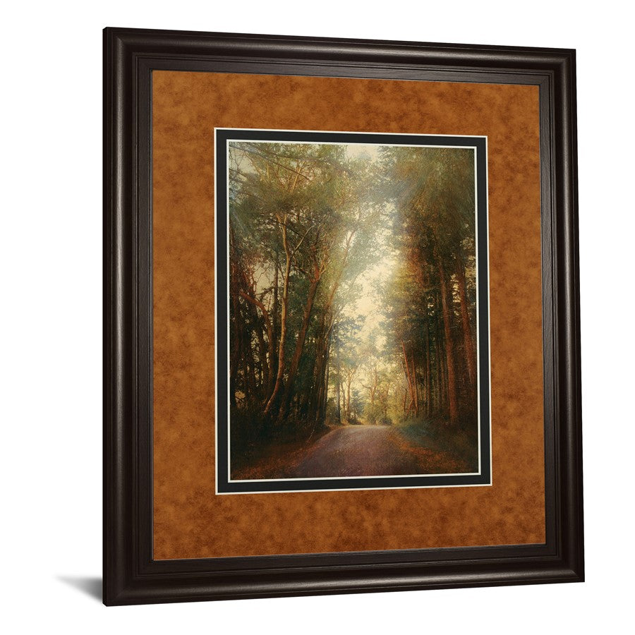 Classy Living Road of Mysteries II 34x40in Wall Art | Transitional Dark Chocolate MDF Frame and Paper Art | Living Room & Office Focal | Model DM5602