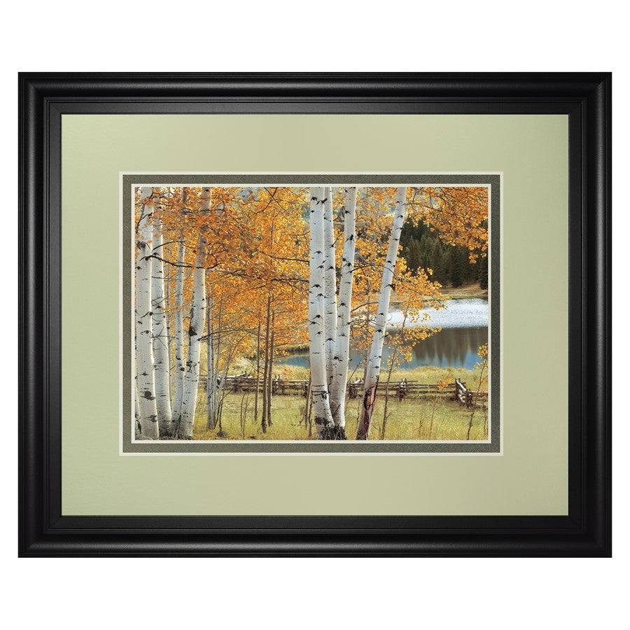 Classy Living Birch Glow Wall Art 40x34in | Traditional Framed Print with Black MDF Frame and Glass | Living Room & Office Decor | 40 x 34 | Model DM5606