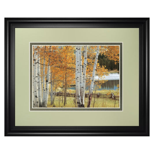 Classy Living Birch Glow Wall Art 40x34in | Traditional Framed Print with Black MDF Frame and Glass | Living Room & Office Decor | 40 x 34 | Model DM5606