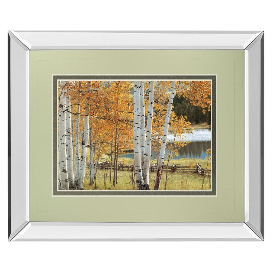 Classy Living Birch Glow 40x34in Wall Art | Traditional Mirrored Frame with Double Matting | Living Room & Bedroom Decor | 40 x 34 x 3 in | Model DM5606MF