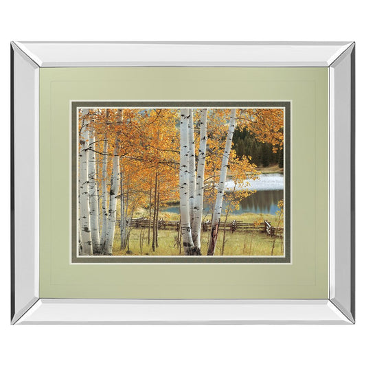 Classy Living Birch Glow 40x34in Wall Art | Traditional Mirrored Frame with Double Matting | Living Room & Bedroom Decor | 40 x 34 x 3 in | Model DM5606MF