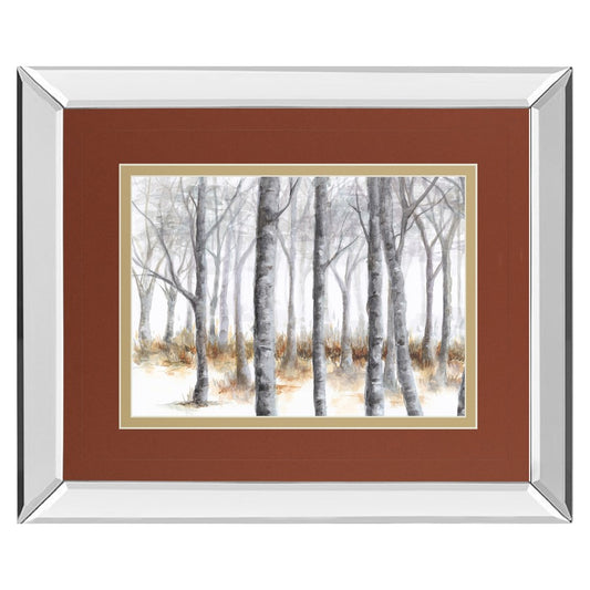 Classy Living Birch Serenity Wall Art 40x34in | Transitional Mirrored Frame | Living Room, Bedroom & Office Decor | 3 x 40 x 34 in | Model DM5616MF