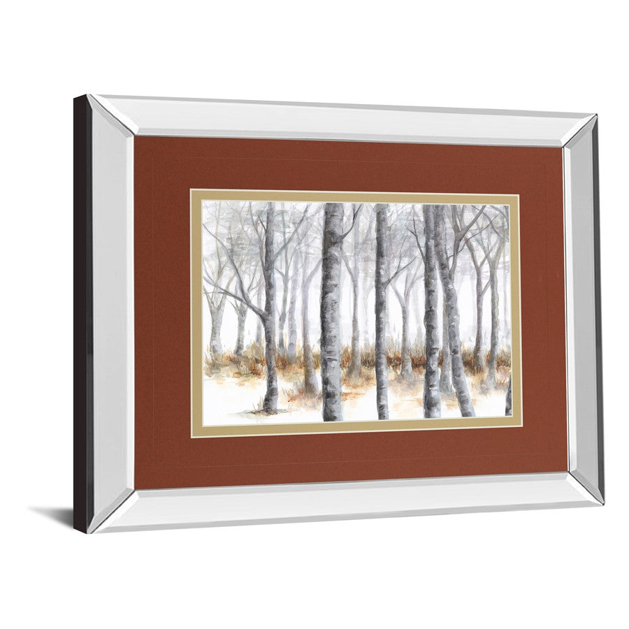 Classy Living Birch Serenity Wall Art 40x34in | Transitional Mirrored Frame | Living Room, Bedroom & Office Decor | 3 x 40 x 34 in | Model DM5616MF