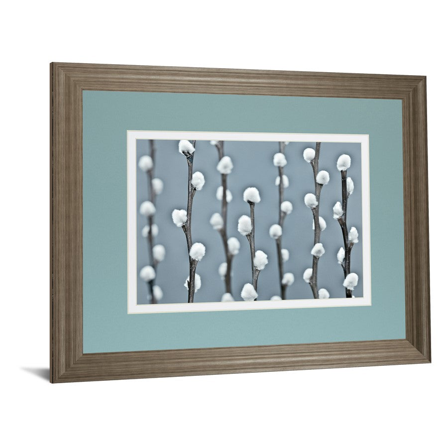 Classy Living Protected Wall Art Double Mat 40x34 | Contemporary Botanical Tranquil Ash MDF Frame | Living Room & Bedroom Wall Decor | 40 x | Model DM5620