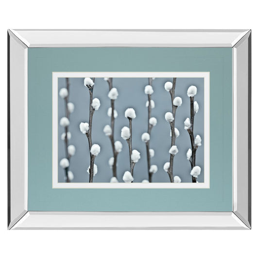 Classy Living Protected 40x34in Wall Art | Contemporary Botanical Photograph with Mirrored Frame | Living Room & Bedroom Decor | 40 x 34 | Model DM5620MF