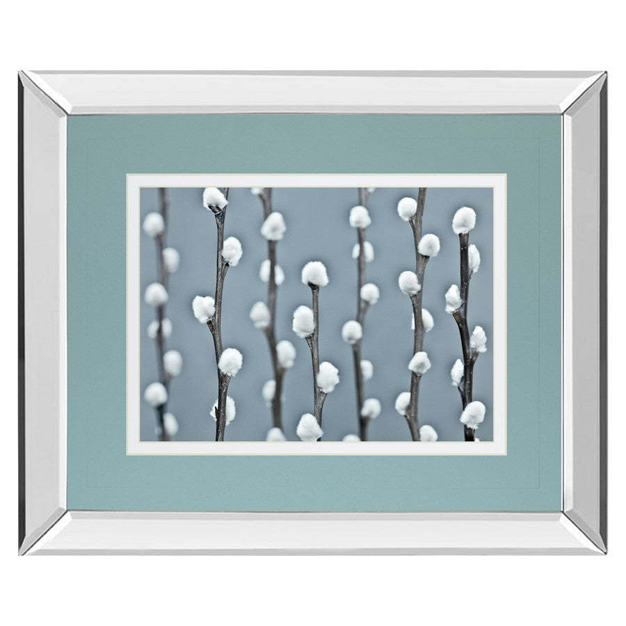 Classy Living Protected 40x34in Wall Art | Contemporary Botanical Photograph with Mirrored Frame | Living Room & Bedroom Decor | 40 x 34 | Model DM5620MF