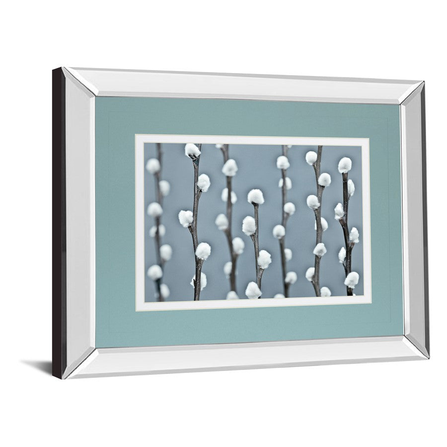 Classy Living Protected 40x34in Wall Art | Contemporary Botanical Photograph with Mirrored Frame | Living Room & Bedroom Decor | 40 x 34 | Model DM5620MF