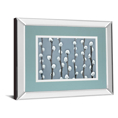 Classy Living Protected 40x34in Wall Art | Contemporary Botanical Photograph with Mirrored Frame | Living Room & Bedroom Decor | 40 x 34 | Model DM5620MF