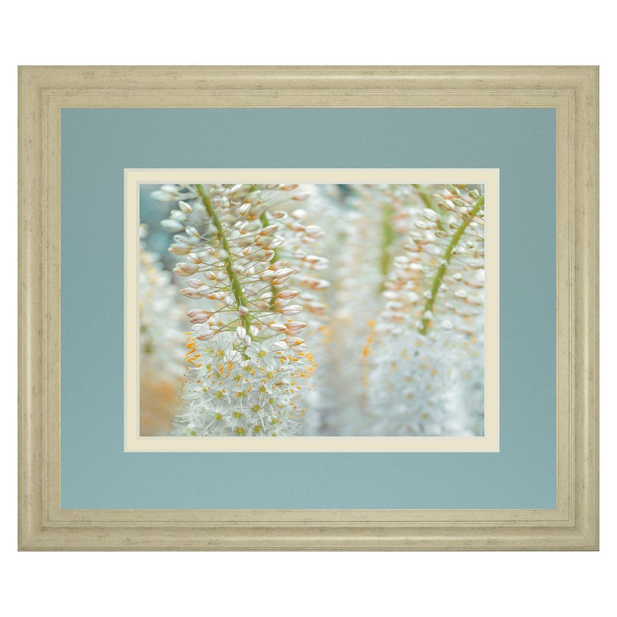 Classy Living Delicate Blooms 40x34in Wall Art | Contemporary Framed Botanical Print in Ivory Bliss MDF Frame | Living Room, Bedroom & | Model DM5625