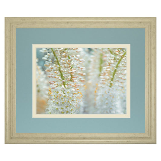 Classy Living Delicate Blooms 40x34in Wall Art | Contemporary Framed Botanical Print in Ivory Bliss MDF Frame | Living Room, Bedroom & | Model DM5625
