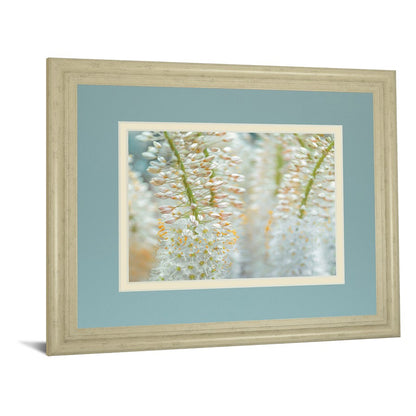 Classy Living Delicate Blooms 40x34in Wall Art | Contemporary Framed Botanical Print in Ivory Bliss MDF Frame | Living Room, Bedroom & | Model DM5625