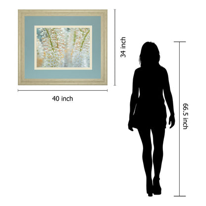 Classy Living Delicate Blooms 40x34in Wall Art | Contemporary Framed Botanical Print in Ivory Bliss MDF Frame | Living Room, Bedroom & | Model DM5625