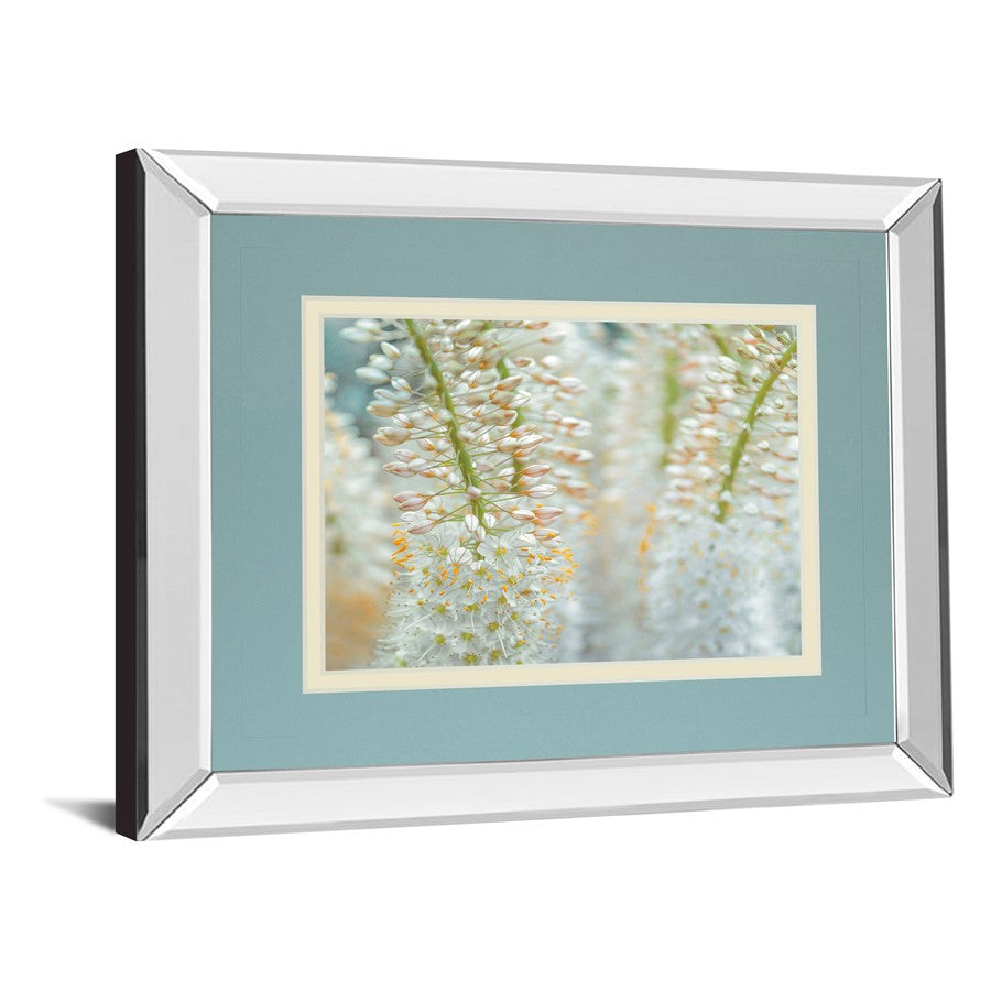 Classy Living Delicate Blooms 40x34in Wall Art | Contemporary Mirrored Frame | Living Room & Bedroom Decor | 40 x 34 x 3 in | Model DM5625MF