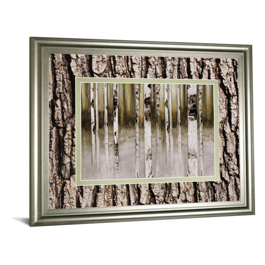 Classy Living Birch Grove Wall Art 40x34in | Contemporary Silver Serenity MDF Frame | Living Room & Bedroom Tranquil Decor | 1 x 40 x 34 in | Model DM5632