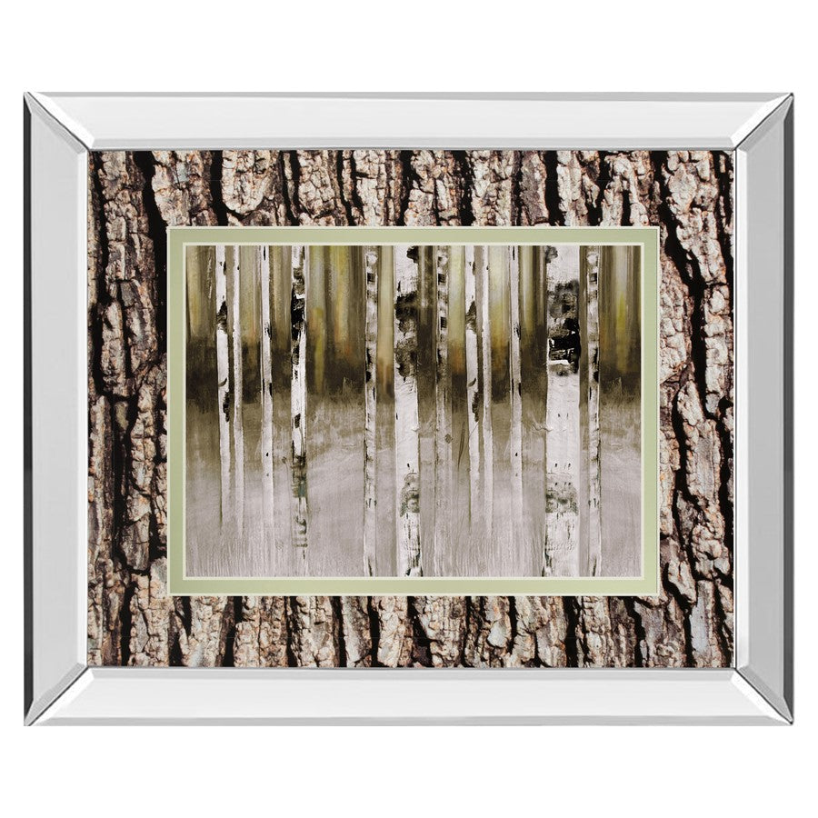 Classy Living Birch Grove 40x34in Wall Art | Contemporary Mirrored Frame and Paper Print | Living Room & Bedroom Tranquil Decor | 40 x 34 | Model DM5632MF
