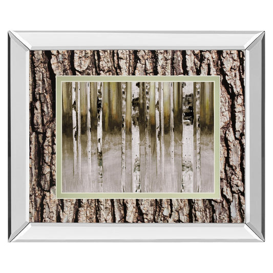 Classy Living Birch Grove 40x34in Wall Art | Contemporary Mirrored Frame and Paper Print | Living Room & Bedroom Tranquil Decor | 40 x 34 | Model DM5632MF