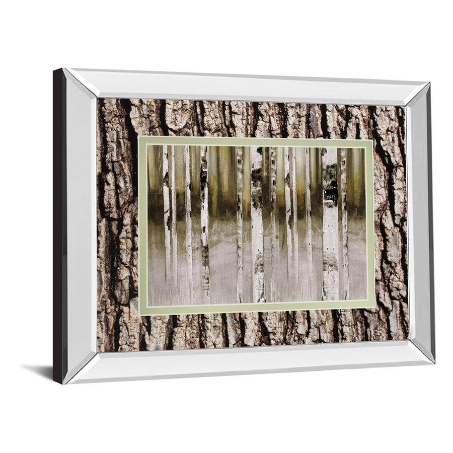 Classy Living Birch Grove 40x34in Wall Art | Contemporary Mirrored Frame and Paper Print | Living Room & Bedroom Tranquil Decor | 40 x 34 | Model DM5632MF