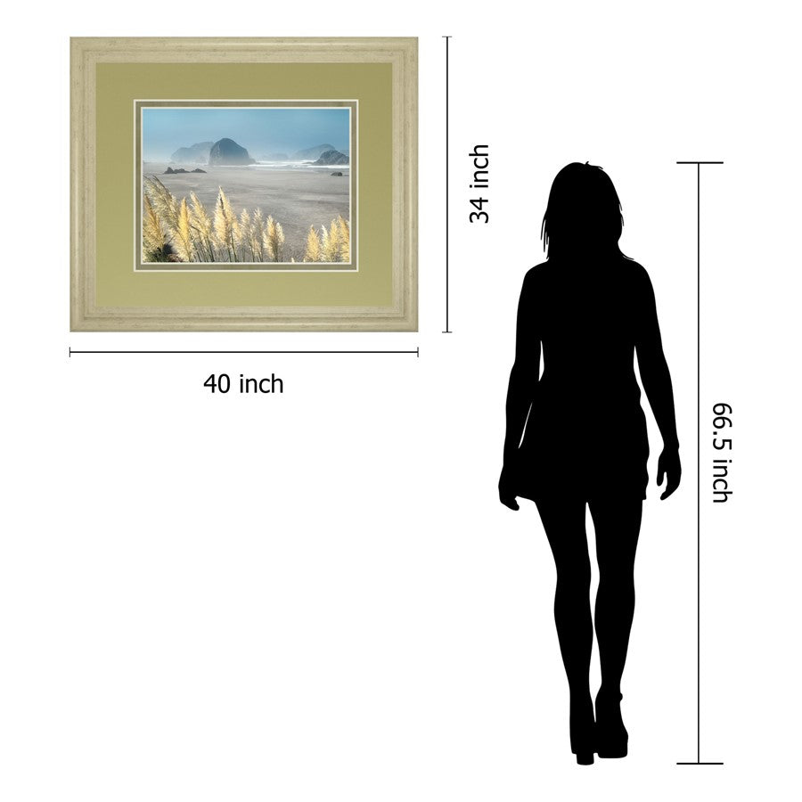 Classy Living Pompas Beach 40x34in Wall Art | Contemporary Coastal Paper Print in Ivory Bliss MDF Frame | Living Room & Office Decor | 1 x | Model DM5644