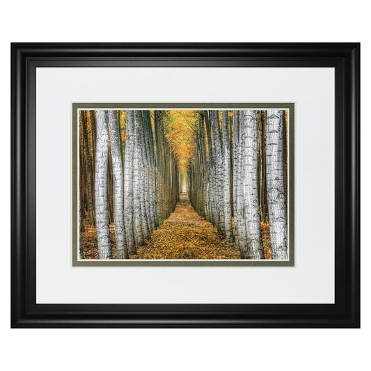 Classy Living Forest Path Wall Art 40x34in | Transitional Framed Print in Midnight Aura MDF Frame | Living Room & Office Decor | 40 x 34 x | Model DM5645