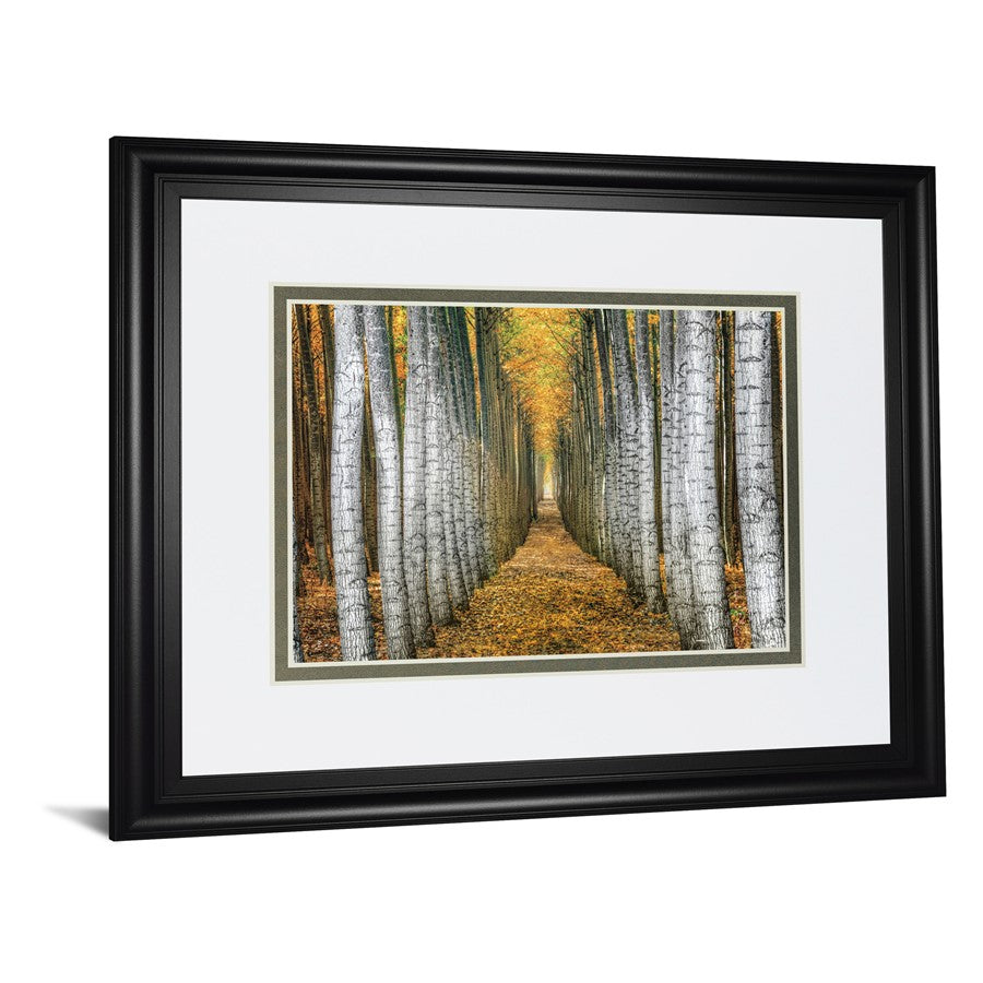Classy Living Forest Path Wall Art 40x34in | Transitional Framed Print in Midnight Aura MDF Frame | Living Room & Office Decor | 40 x 34 x | Model DM5645