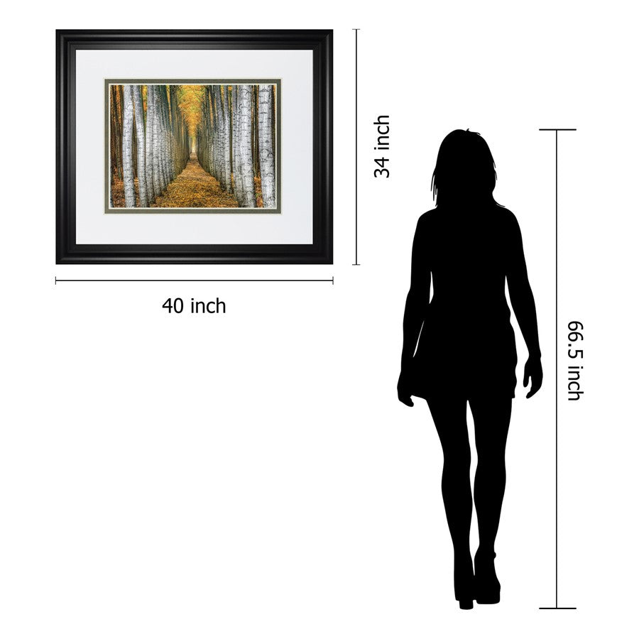 Classy Living Forest Path Wall Art 40x34in | Transitional Framed Print in Midnight Aura MDF Frame | Living Room & Office Decor | 40 x 34 x | Model DM5645