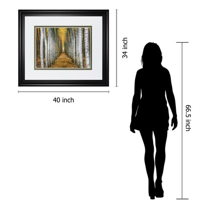 Classy Living Forest Path Wall Art 40x34in | Transitional Framed Print in Midnight Aura MDF Frame | Living Room & Office Decor | 40 x 34 x | Model DM5645