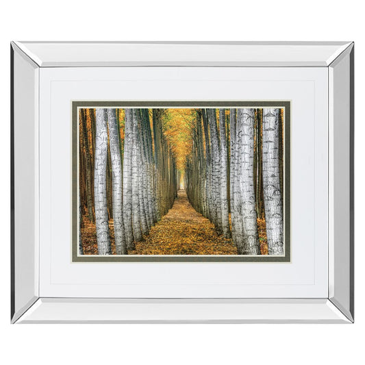 Classy Living Forest Path 40x34in Wall Art | Transitional Mirrored Frame | Living Room & Office Decor | 3 x 40 x 34 in | Model DM5645MF