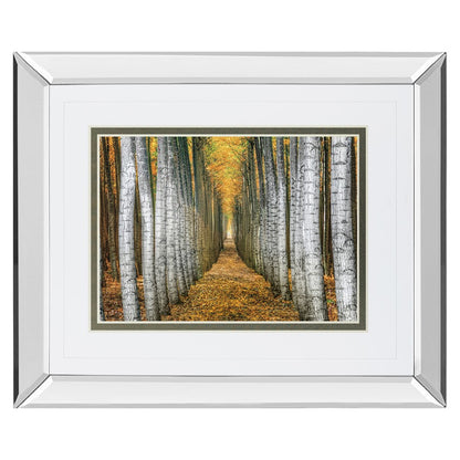 Classy Living Forest Path 40x34in Wall Art | Transitional Mirrored Frame | Living Room & Office Decor | 3 x 40 x 34 in | Model DM5645MF