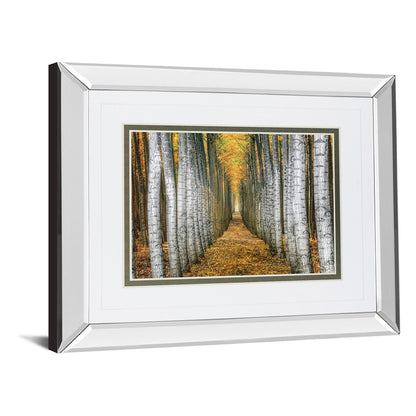 Classy Living Forest Path 40x34in Wall Art | Transitional Mirrored Frame | Living Room & Office Decor | 3 x 40 x 34 in | Model DM5645MF