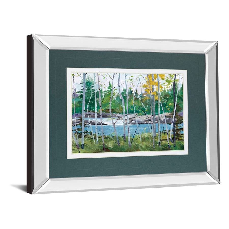 Classy Living Birch River View Wall Art 40x34in | Mirrored Frame Transitional | Living Room & Office Decor | 40 x 34 x 3 in | Model DM5661MF
