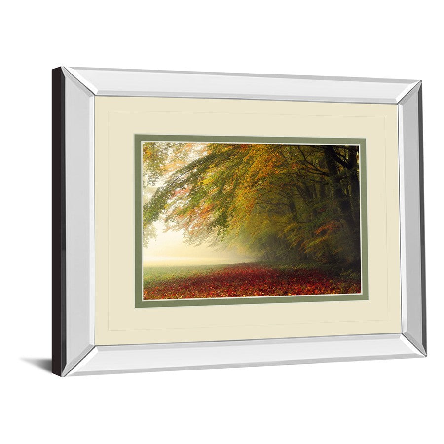 Classy Living Autumn Whisper 40x34in Wall Art | Contemporary Mirrored Frame Nature Print | Living Room & Office Decor | 40 x 34 x 3 in | Model DM5670MF