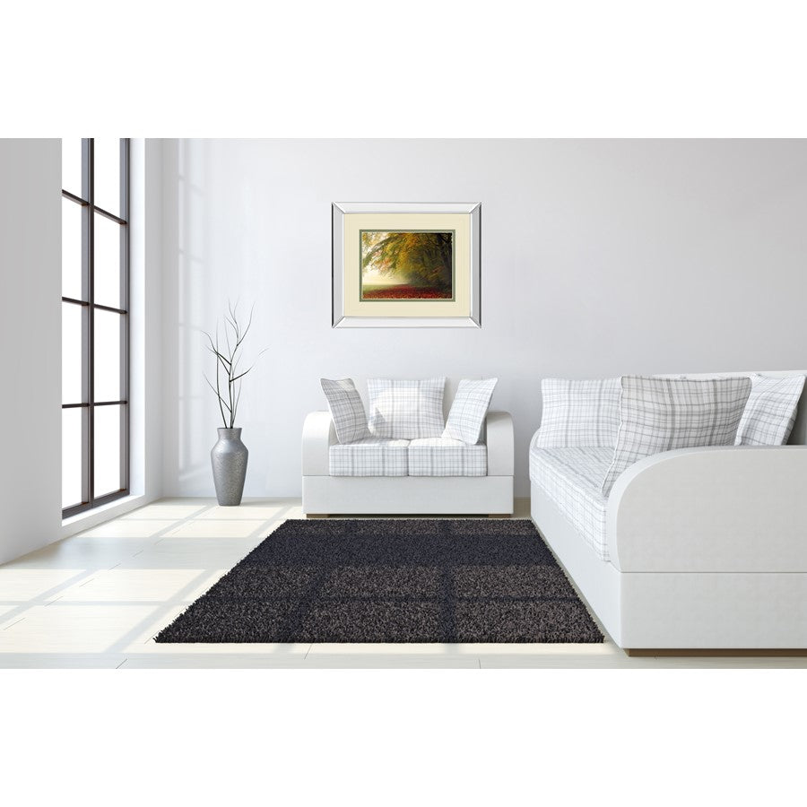 Classy Living Autumn Whisper 40x34in Wall Art | Contemporary Mirrored Frame Nature Print | Living Room & Office Decor | 40 x 34 x 3 in | Model DM5670MF