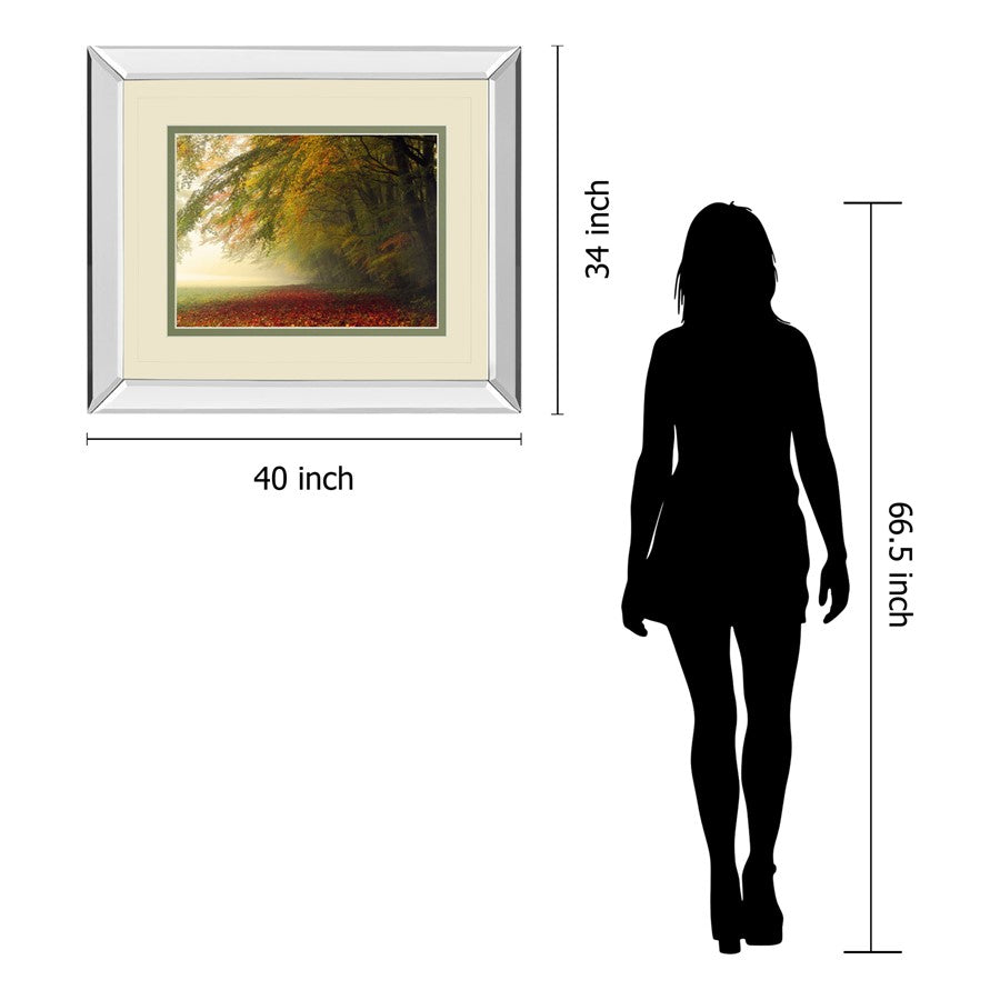 Classy Living Autumn Whisper 40x34in Wall Art | Contemporary Mirrored Frame Nature Print | Living Room & Office Decor | 40 x 34 x 3 in | Model DM5670MF