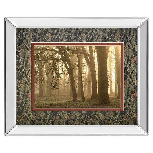 Classy Living Woodland Sweep 40x34in Wall Art | Contemporary Mirrored Frame & Double-Matted Print | Living Room & Bedroom Tranquil Decor | Model DM5674MF