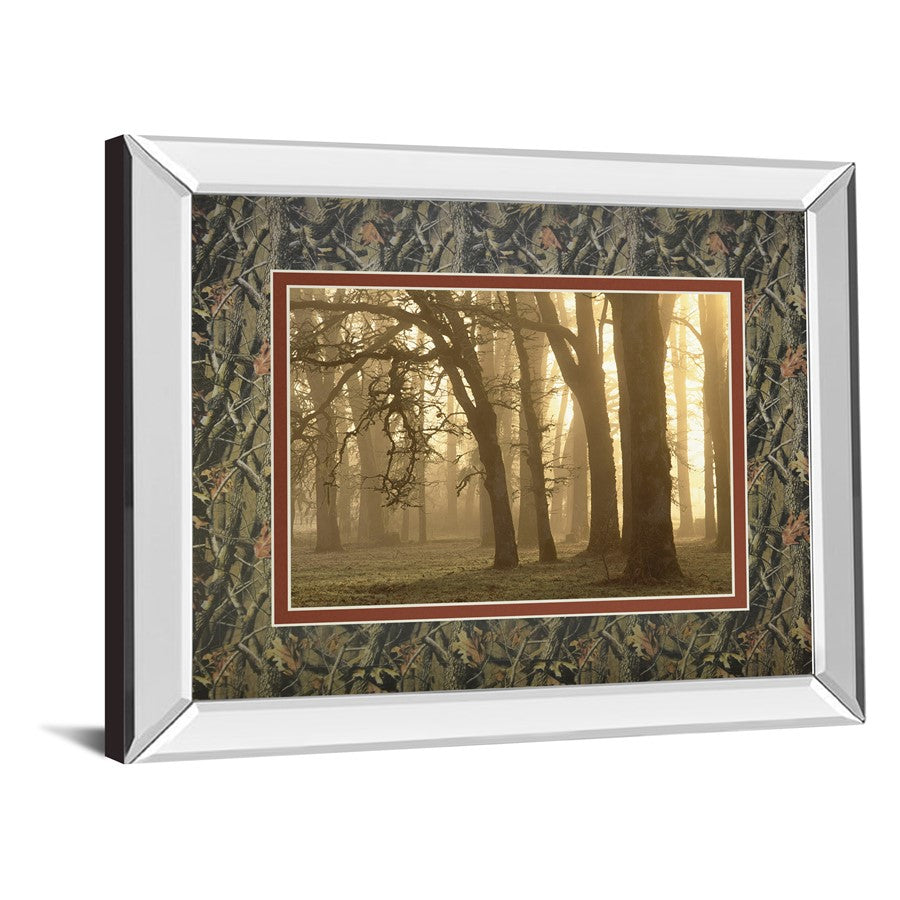 Classy Living Woodland Sweep 40x34in Wall Art | Contemporary Mirrored Frame & Double-Matted Print | Living Room & Bedroom Tranquil Decor | Model DM5674MF