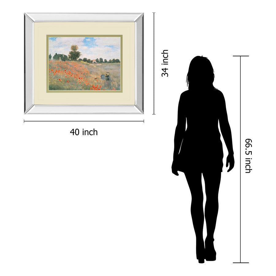 Classy Living Wild Poppies View Wall Art 40x34in | Transitional Mirrored Frame with Double Matting | Living Room & Office Decor | 40 x 34 | Model DM5699MF
